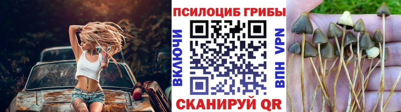 цены наркотик  Уфа  Псилоцибиновые грибы GOLDEN TEACHER 